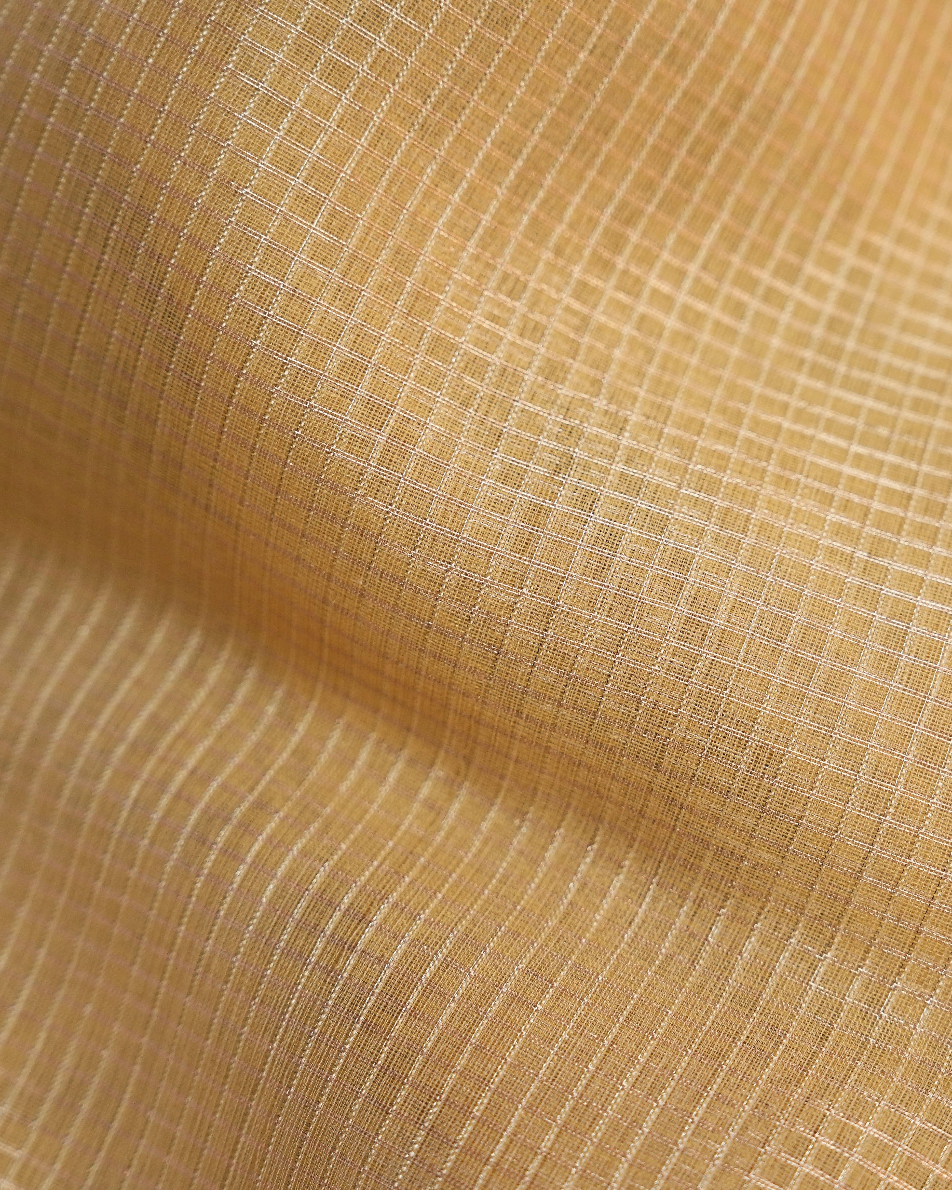 Gold color Tissue Saree