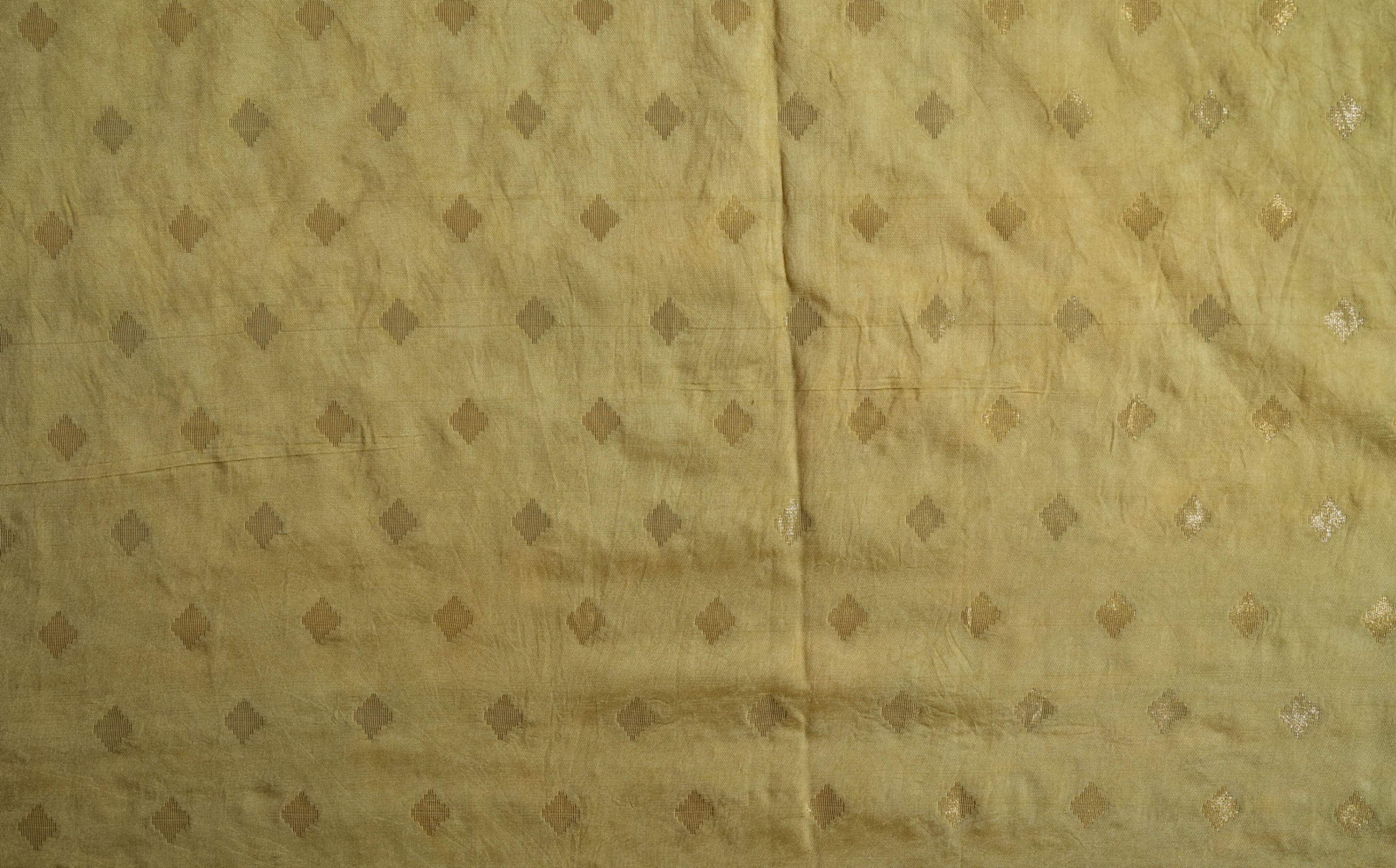 Gold Embroidery Tissue Saree