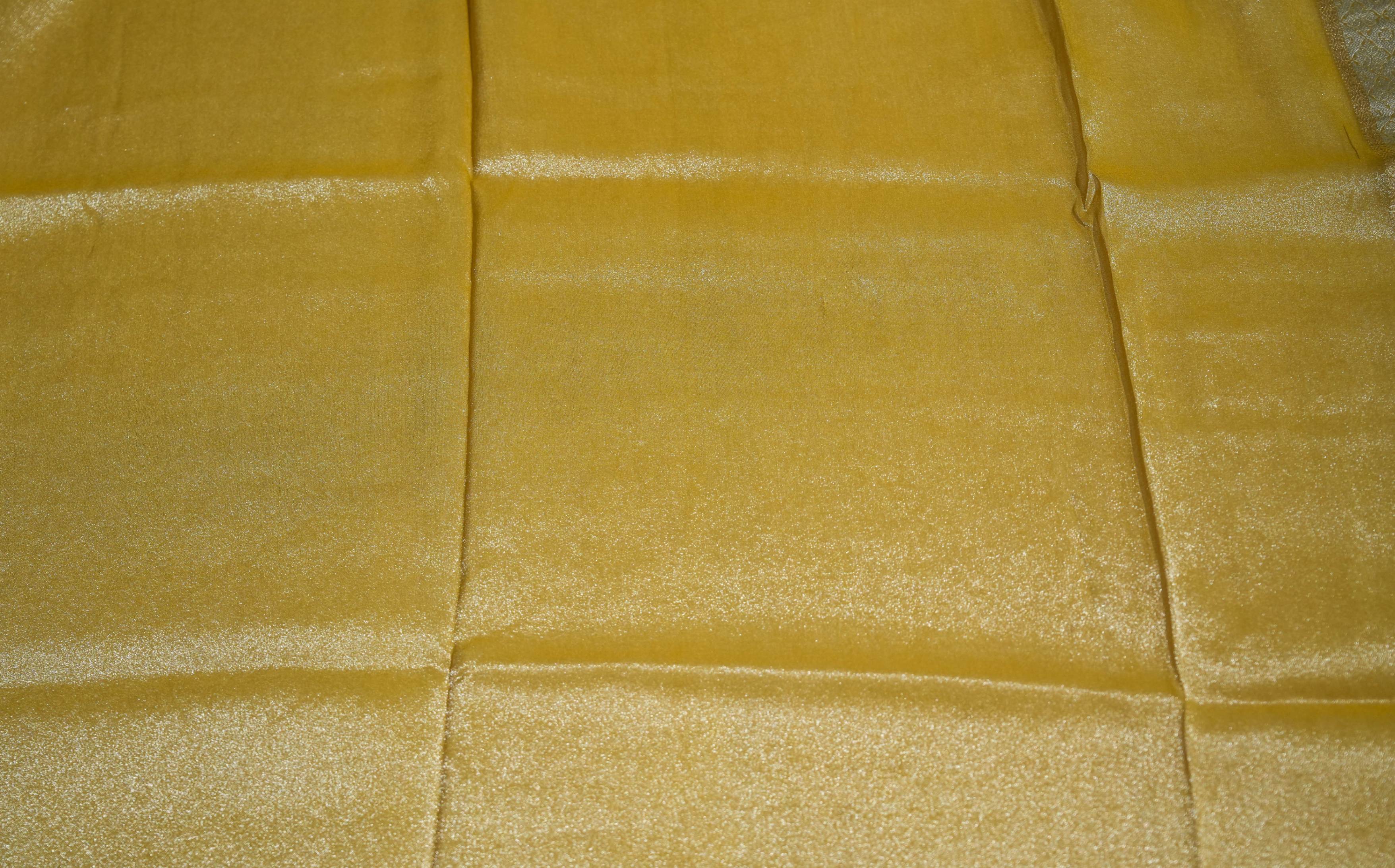 Multi Colour Banarasi Tissue Saree