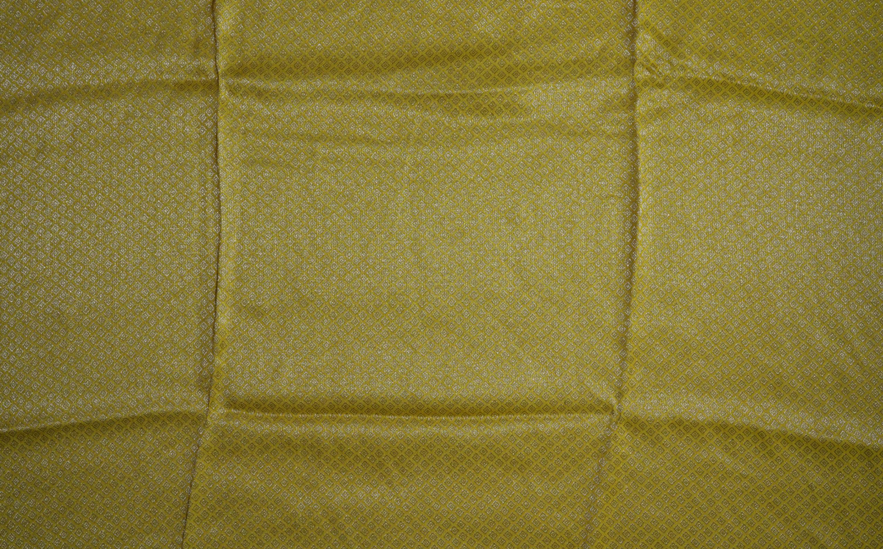 Green Banarasi Tissue Saree