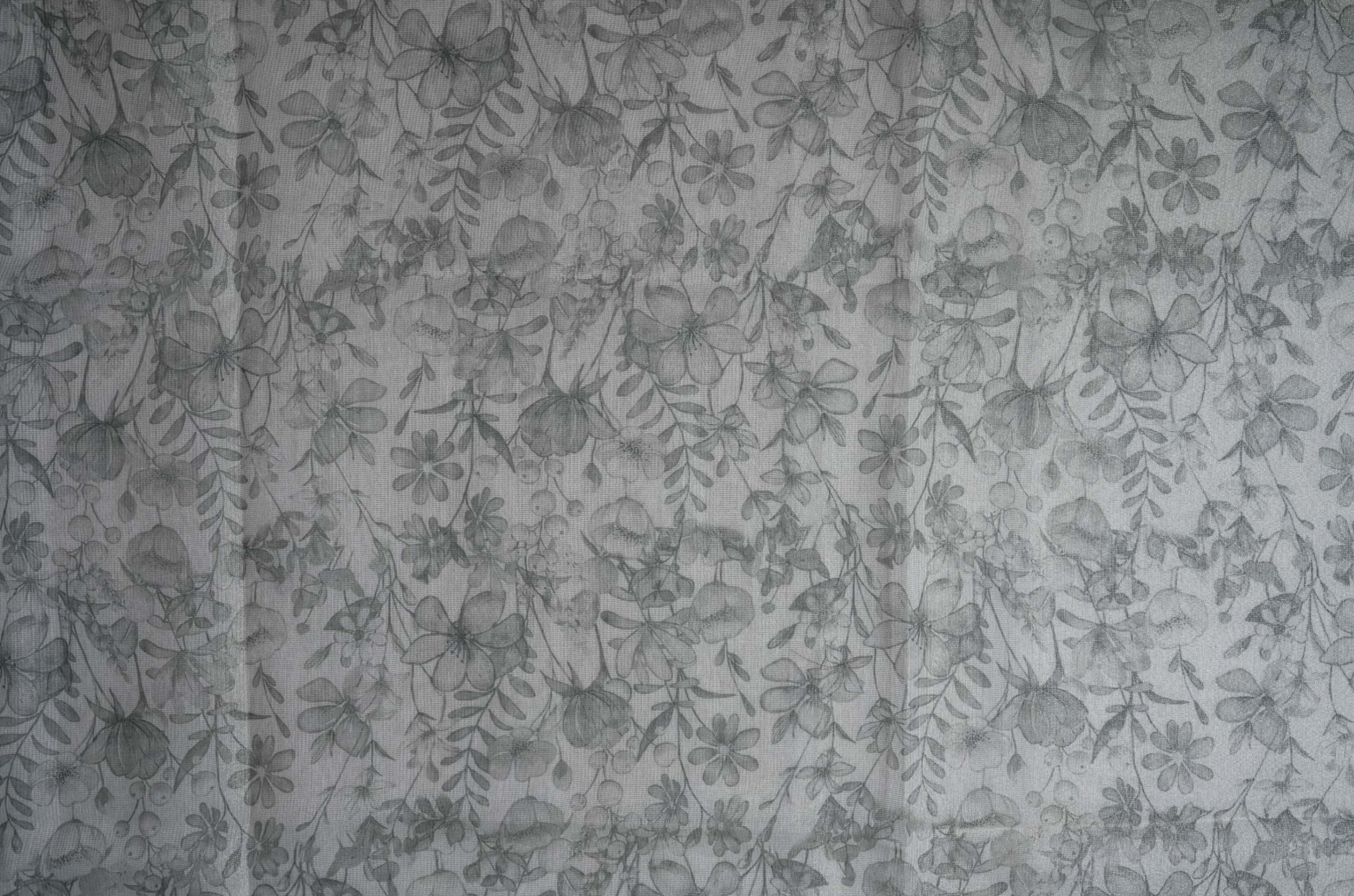 Silver Printed Embroidery Tissue Saree