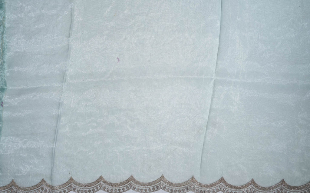 Ferozi Embroidery Tissue Saree
