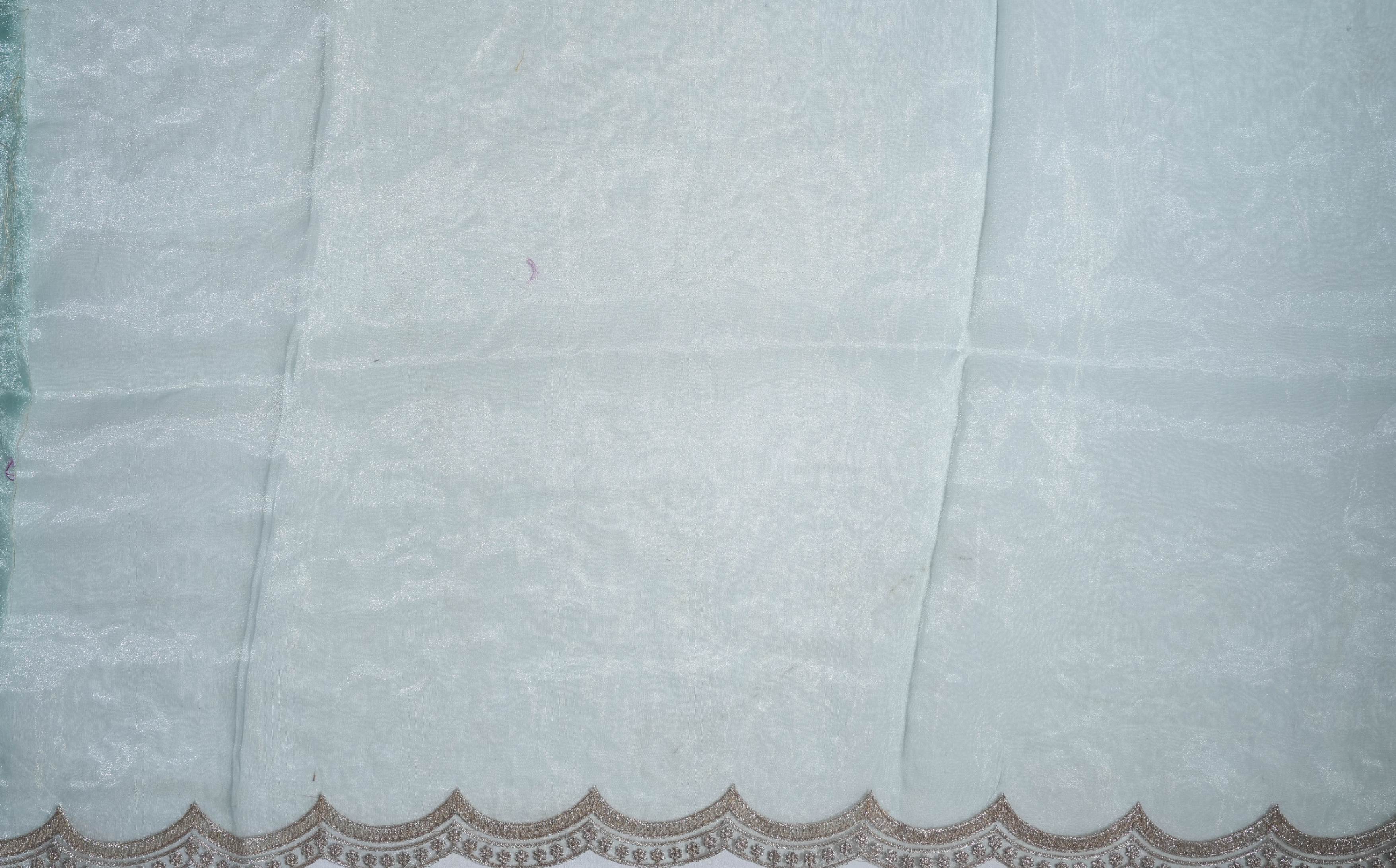 Ferozi Embroidery Tissue Saree