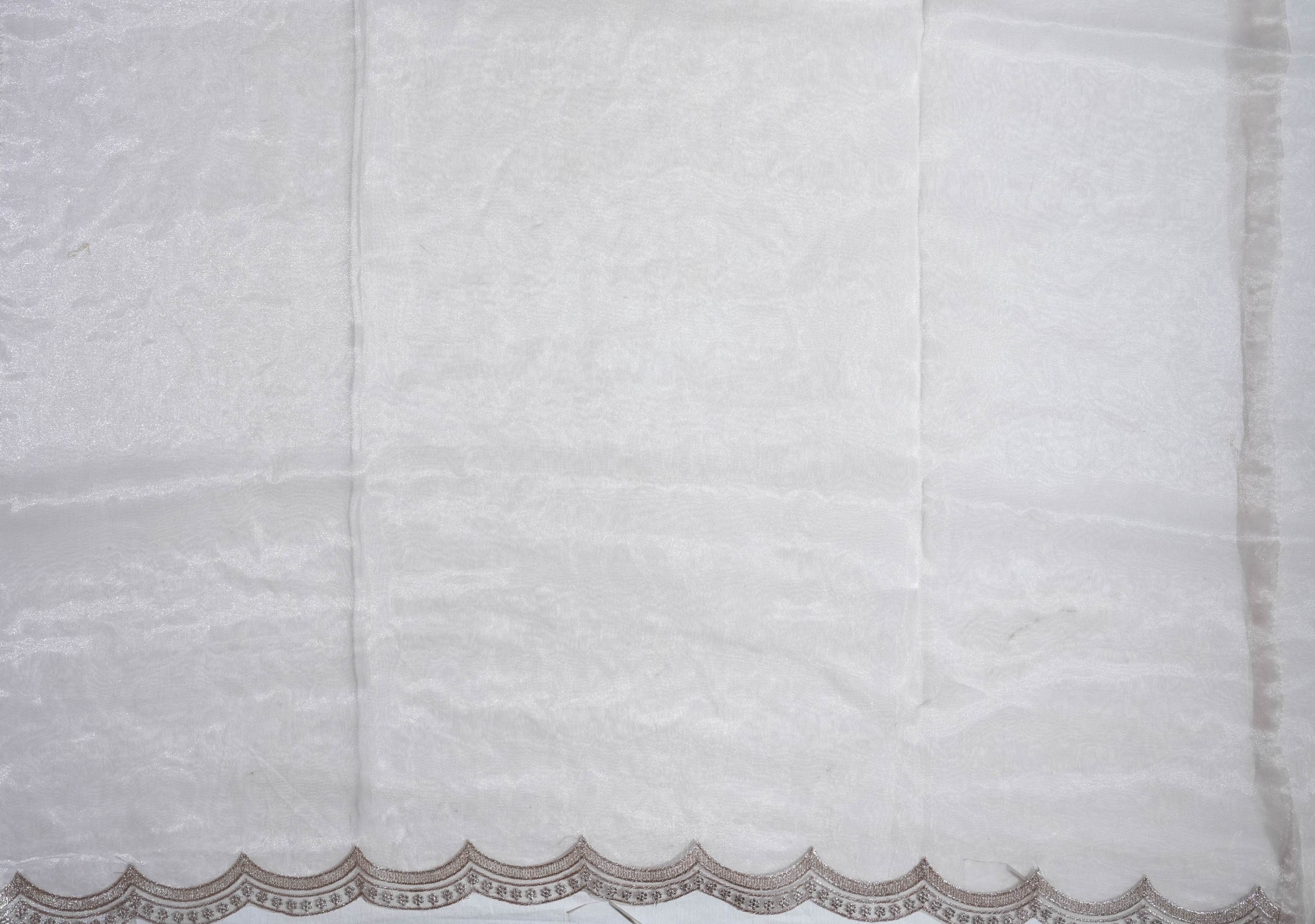 Silver Embroidery Tissue Saree