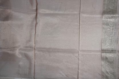 Pastel Banarasi Tissue Saree