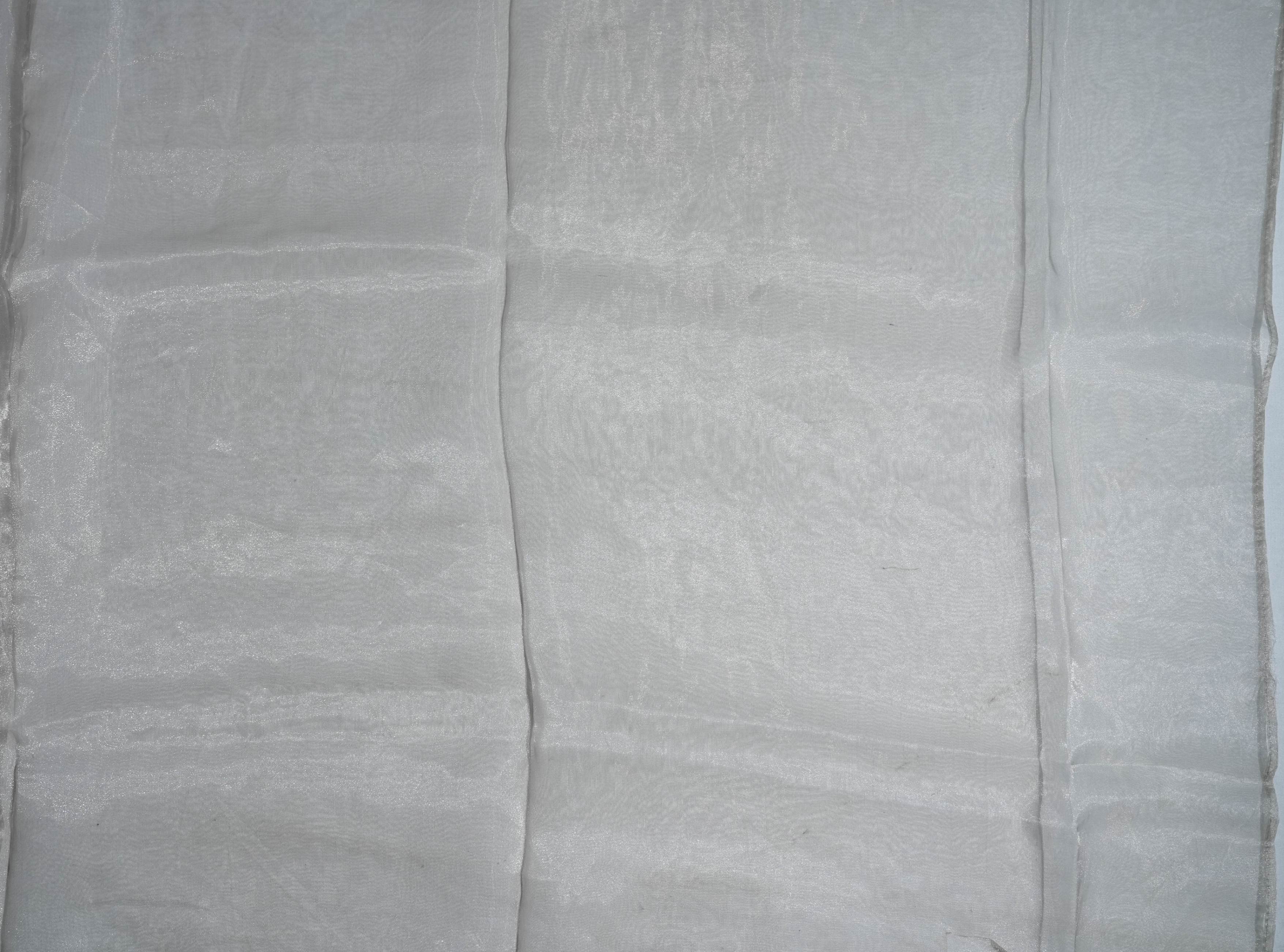 Silver Embroidery Tissue Saree