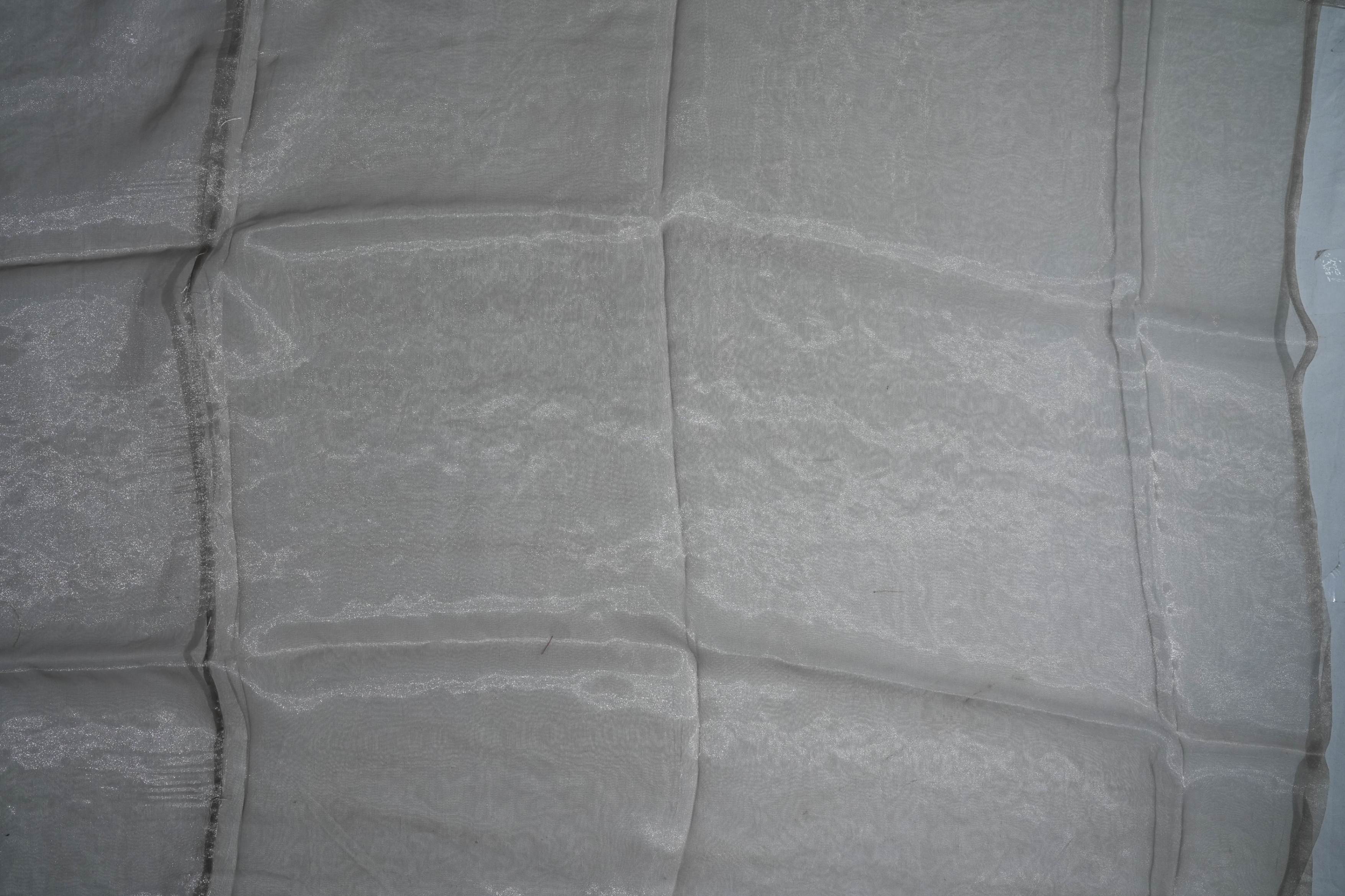 Off White Embroidery Organza Saree