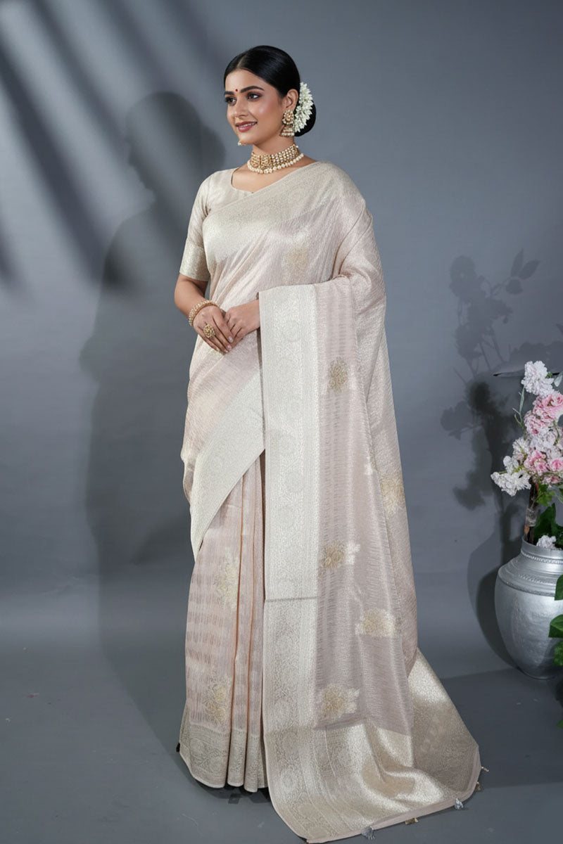 Pastel Banarasi Tissue Saree