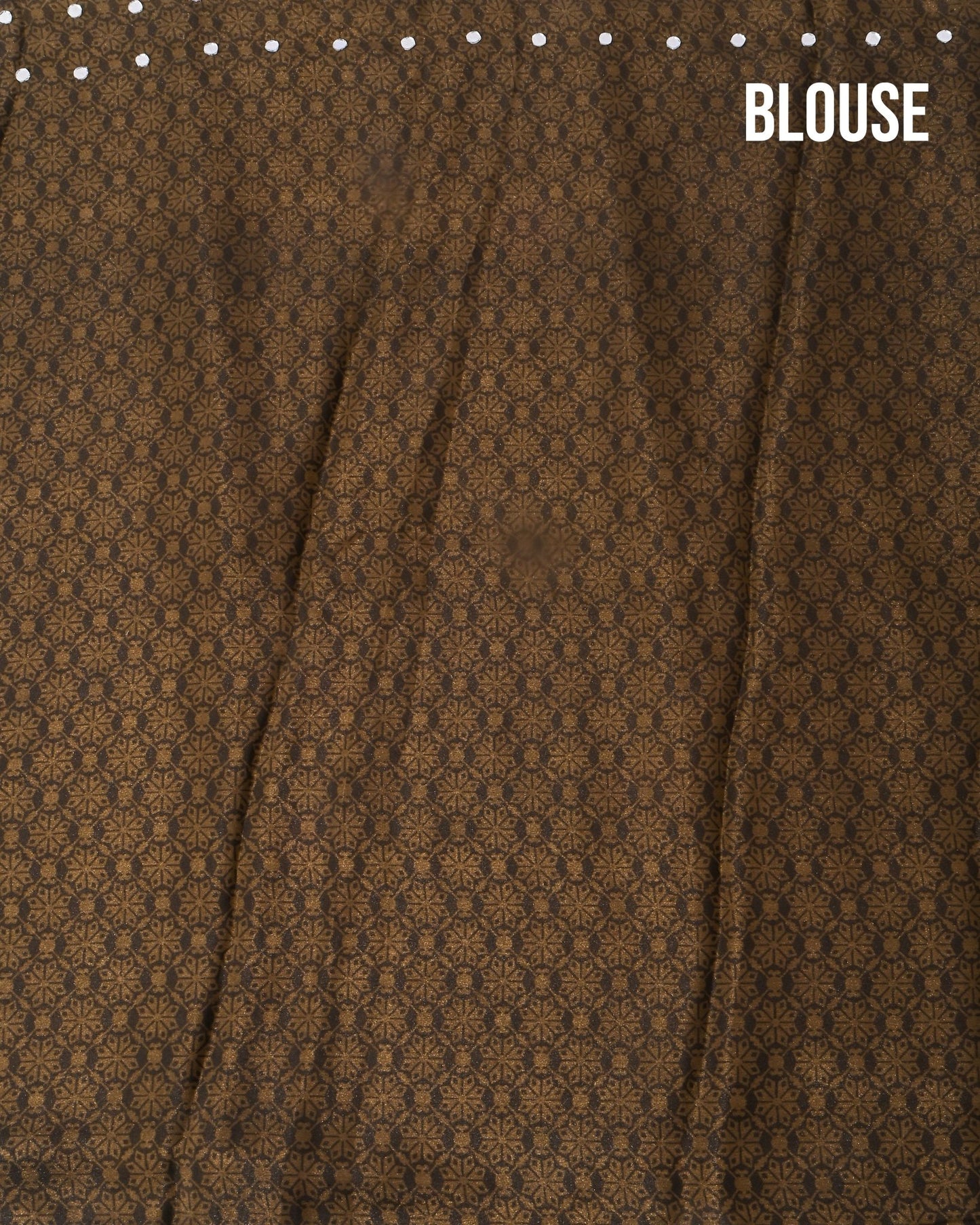 Earthy Silk Printed Saree - Shop Vastram