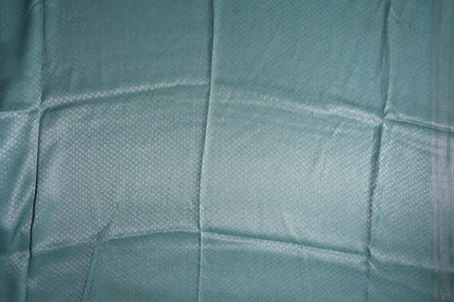 Ferozi Banarasi Tissue Saree - Shop Vastram