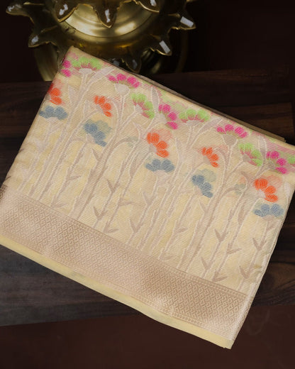 Pastel Color Organza Saree - Shop Vastram