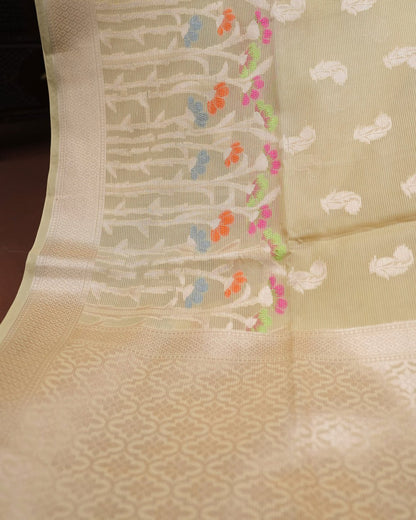Pastel Color Organza Saree - Shop Vastram