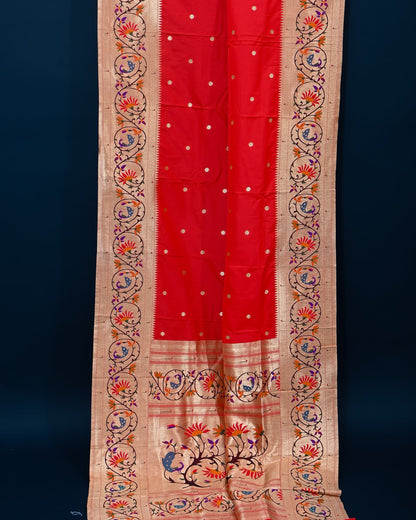 pathani saree - Shop Vastram