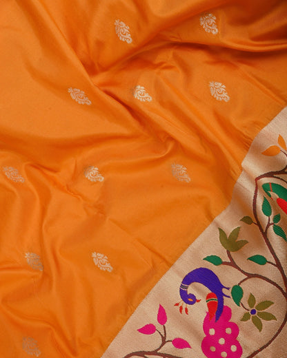 pathani saree - Shop Vastram