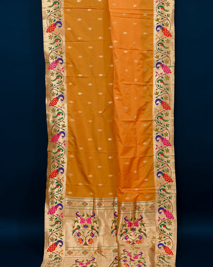 pathani saree - Shop Vastram